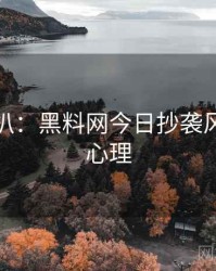 独家深扒：黑料网今日抄袭风波公众心理