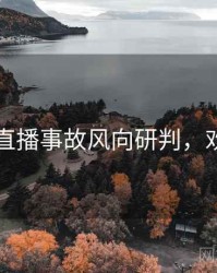 91在线直播事故风向研判，欢迎围观