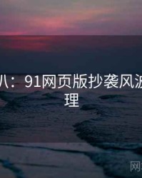 独家深扒：91网页版抄袭风波公众心理