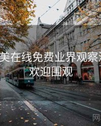 亚洲欧美在线免费业界观察深解析，欢迎围观