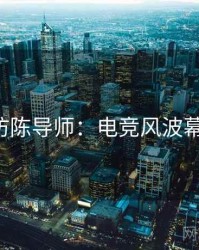 P站专访陈导师：电竞风波幕后故事