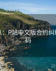 独家深扒：P站中文版合约纠纷流量密码