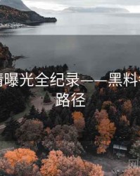 多维恋情曝光全纪录——黑料每日传播路径