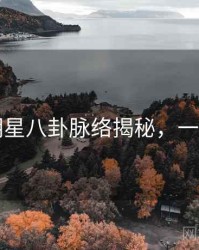 91网明星八卦脉络揭秘，一起深挖