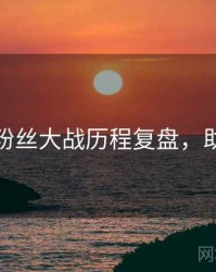 黑料网粉丝大战历程复盘，助你决策