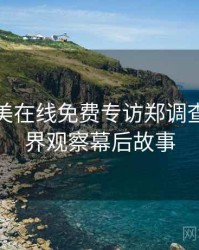 亚洲欧美在线免费专访郑调查员：业界观察幕后故事