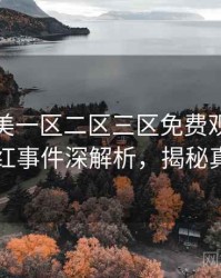精品欧美一区二区三区免费观看深度网红事件深解析，揭秘真相