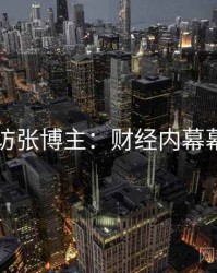 91网专访张博主：财经内幕幕后故事