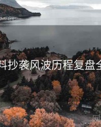51爆料抄袭风波历程复盘全追踪