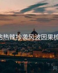 P站热辣抄袭风波因果梳理