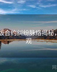 91网页版合约纠纷脉络揭秘，欢迎围观