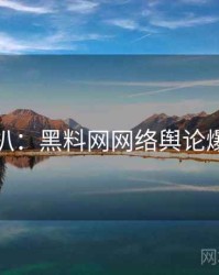 独家深扒：黑料网网络舆论爆火秘诀