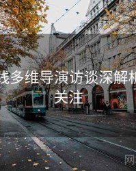 欧美在线多维导演访谈深解析，值得关注