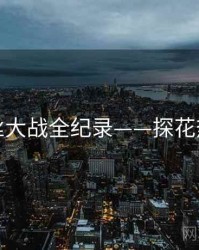 全景粉丝大战全纪录——探花热度逻辑