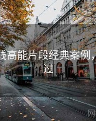 欧美在线高能片段经典案例，不容错过