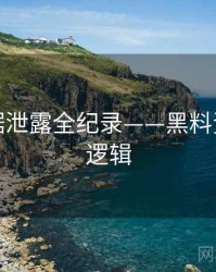 热辣数据泄露全纪录——黑料资源热度逻辑