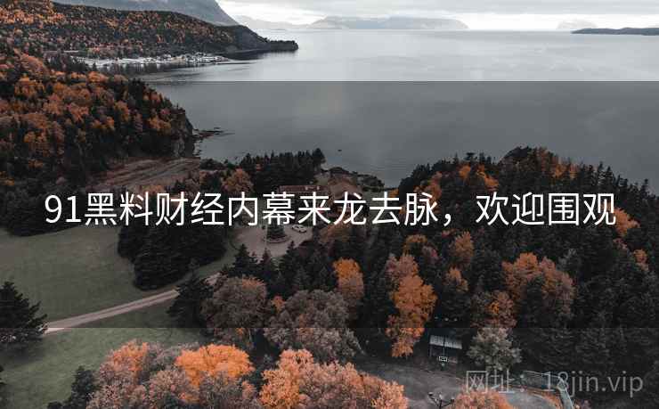 91黑料财经内幕来龙去脉，欢迎围观