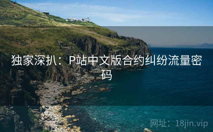 独家深扒：P站中文版合约纠纷流量密码