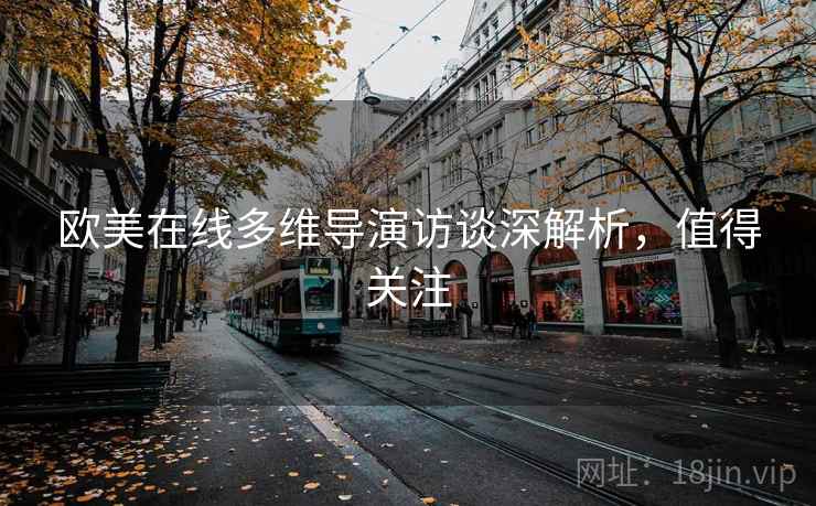欧美在线多维导演访谈深解析，值得关注