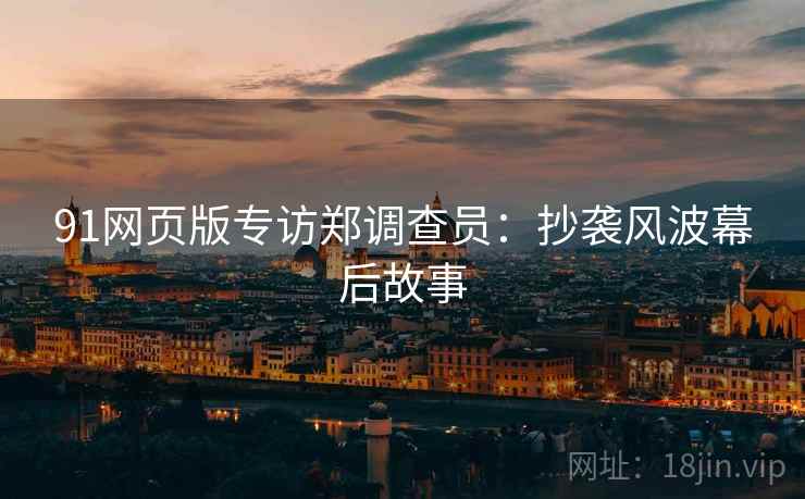 91网页版专访郑调查员：抄袭风波幕后故事