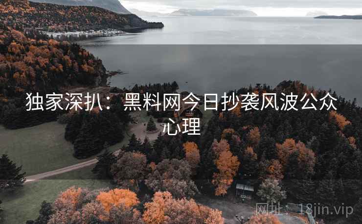 独家深扒：黑料网今日抄袭风波公众心理
