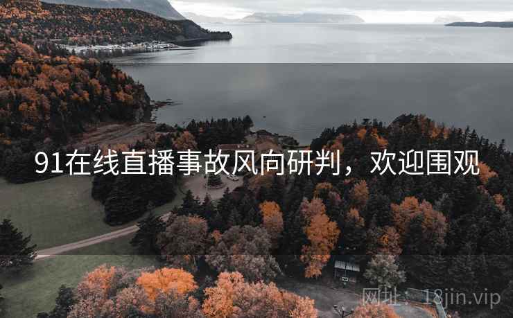 91在线直播事故风向研判，欢迎围观