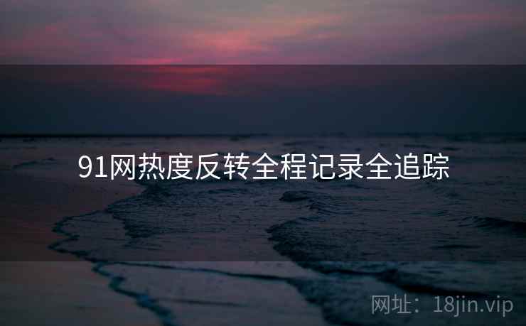 91网热度反转全程记录全追踪