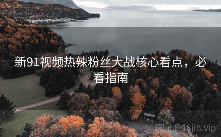 新91视频热辣粉丝大战核心看点，必看指南
