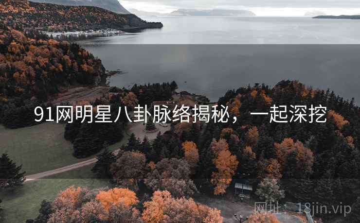 91网明星八卦脉络揭秘，一起深挖