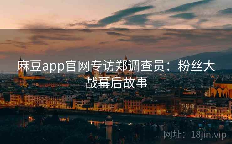 麻豆app官网专访郑调查员：粉丝大战幕后故事