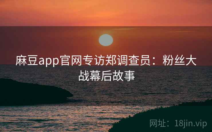 麻豆app官网专访郑调查员：粉丝大战幕后故事